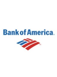 bank of america - Digital analytica