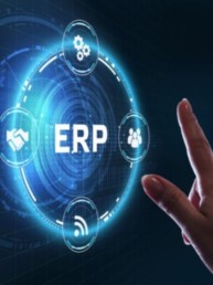 erp - digital analytica